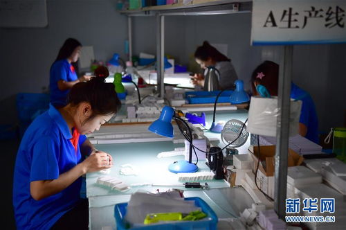 陕南地区多措并举 电子工具助力农民增收